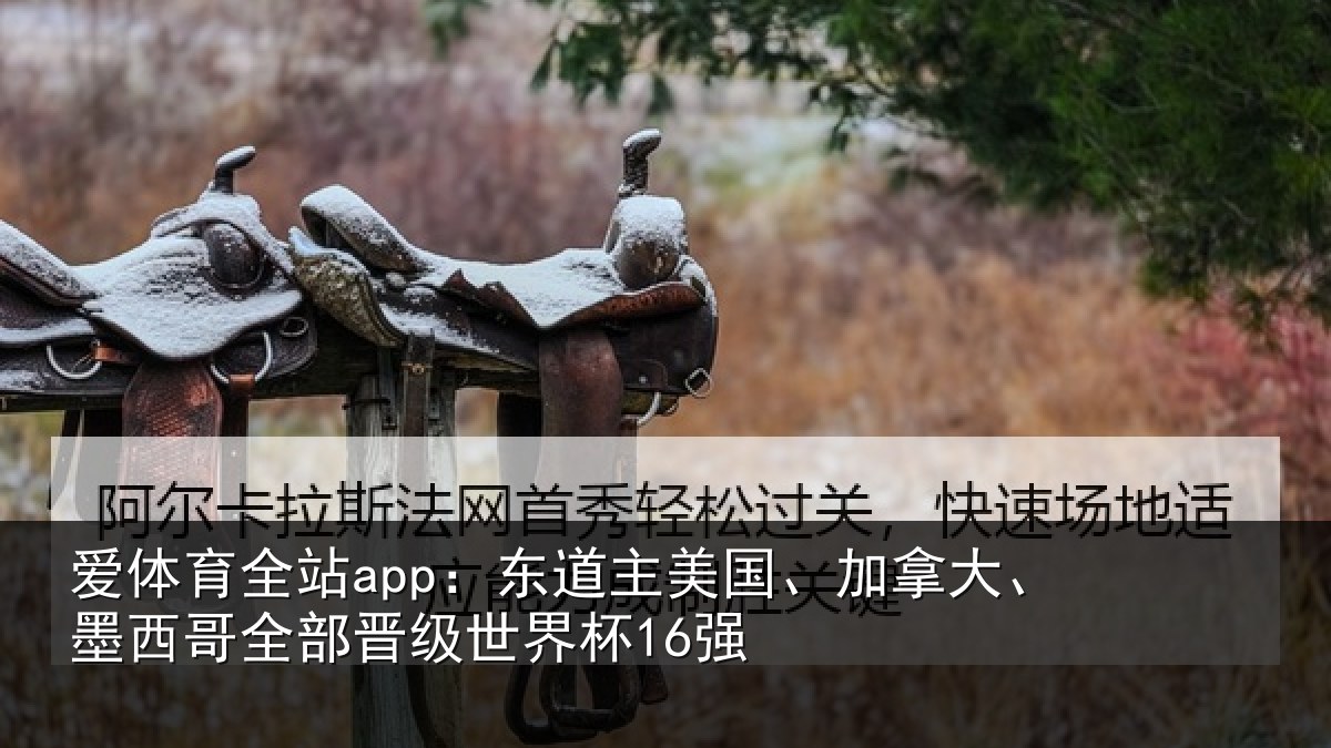爱体育全站app：东道相关情况哥全部晋级世界杯16强