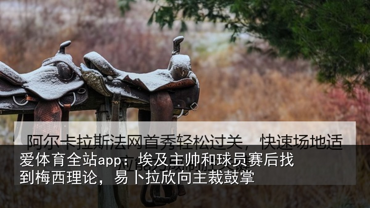 爱体育全站app：埃及主帅和球员赛后找到梅西理论，易卜拉欣向主裁鼓掌