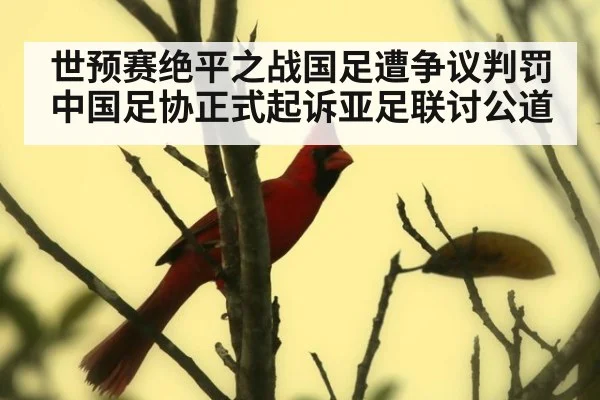 世预赛绝平之战国足遭争议判罚 中国足协正式起诉亚足联讨公道