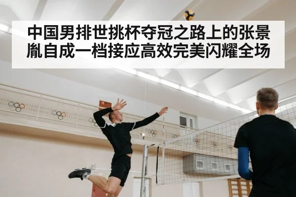 中国男排世挑杯夺冠之路上的张景胤自成一档接应高效完美闪耀全场
