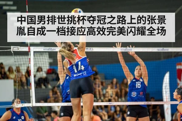 volleyball match action